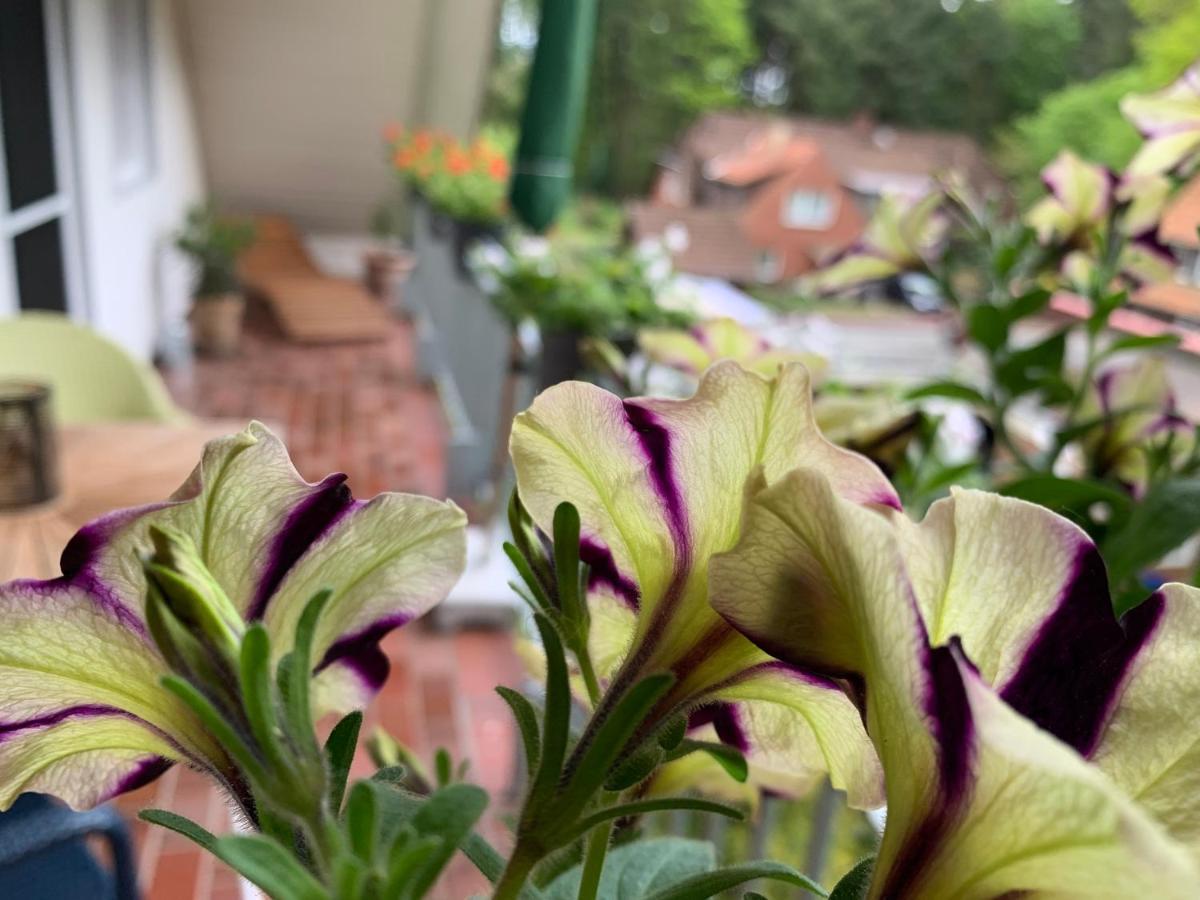 Apartamento Loh - Wald.natur.ruhe.