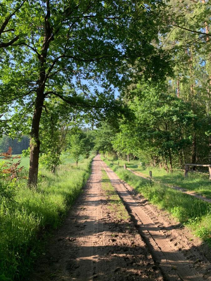 Apartment Loh - Wald.natur.ruhe. *