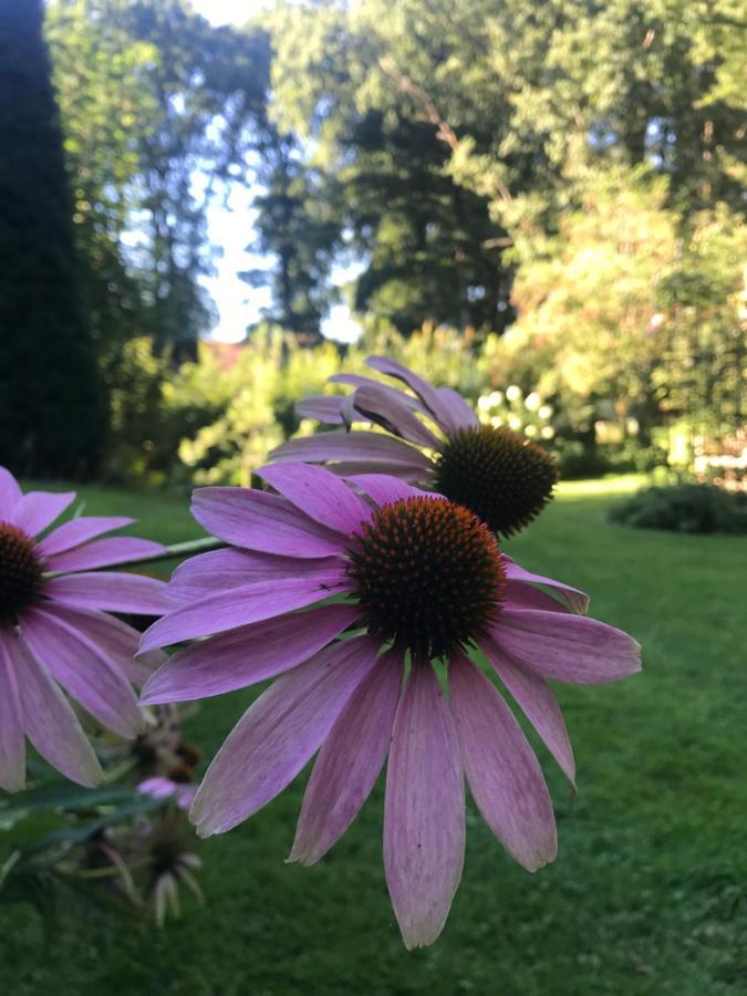 Loh - Wald.natur.ruhe. Apartment