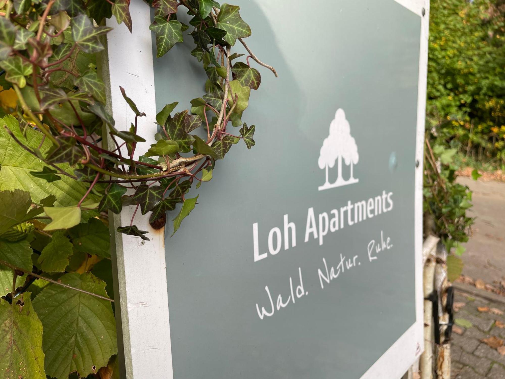 Loh - Wald.natur.ruhe. Apartment Undeloh